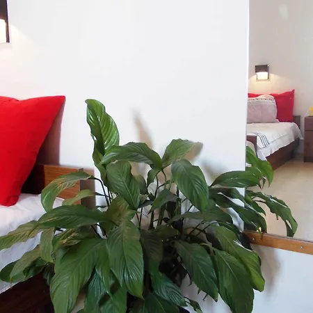 In - Sibenik Riviera 43222 * Primošten